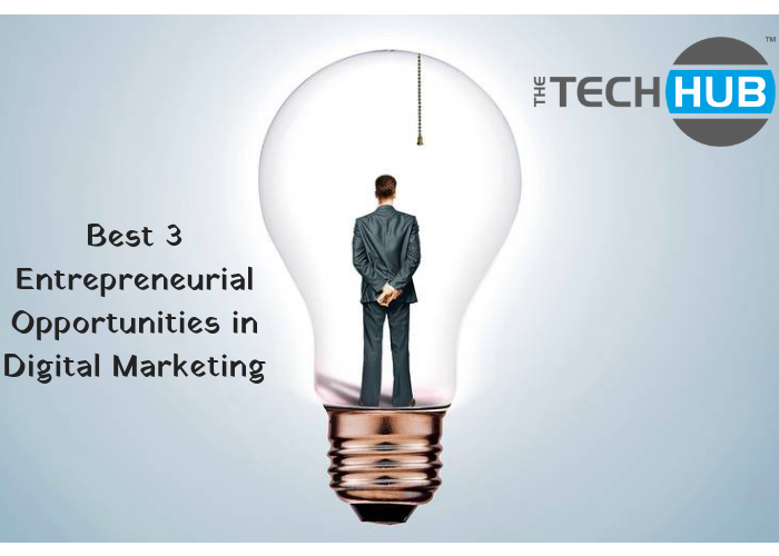 Entrepreneurial opportunities in digital marketing
